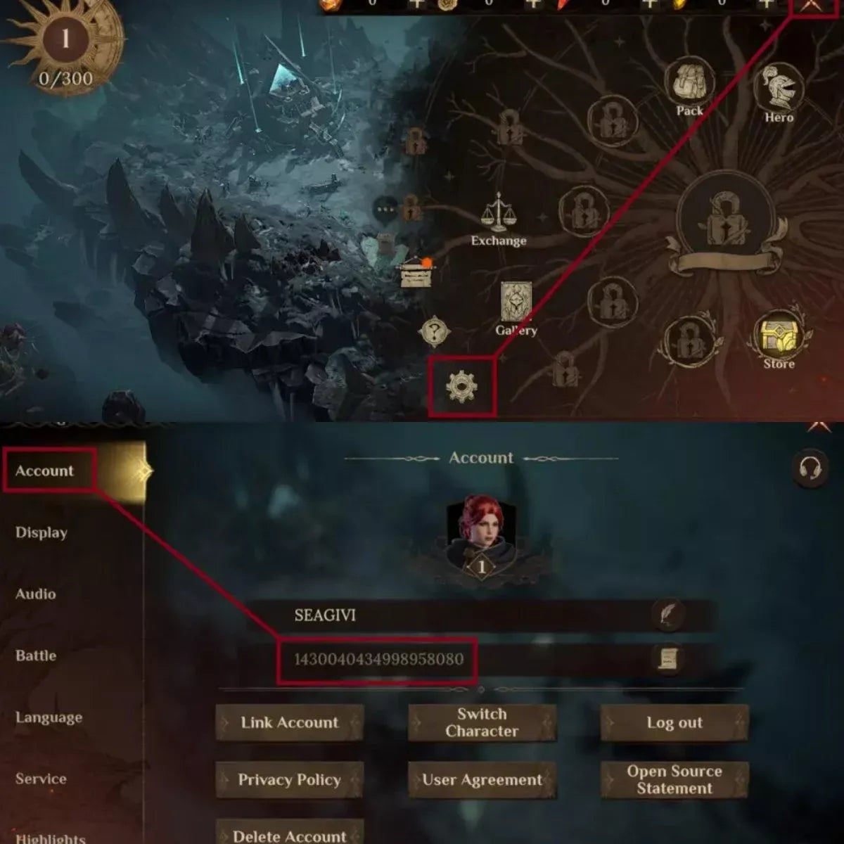 Dragonheir: Silent Gods Packages and Crystal